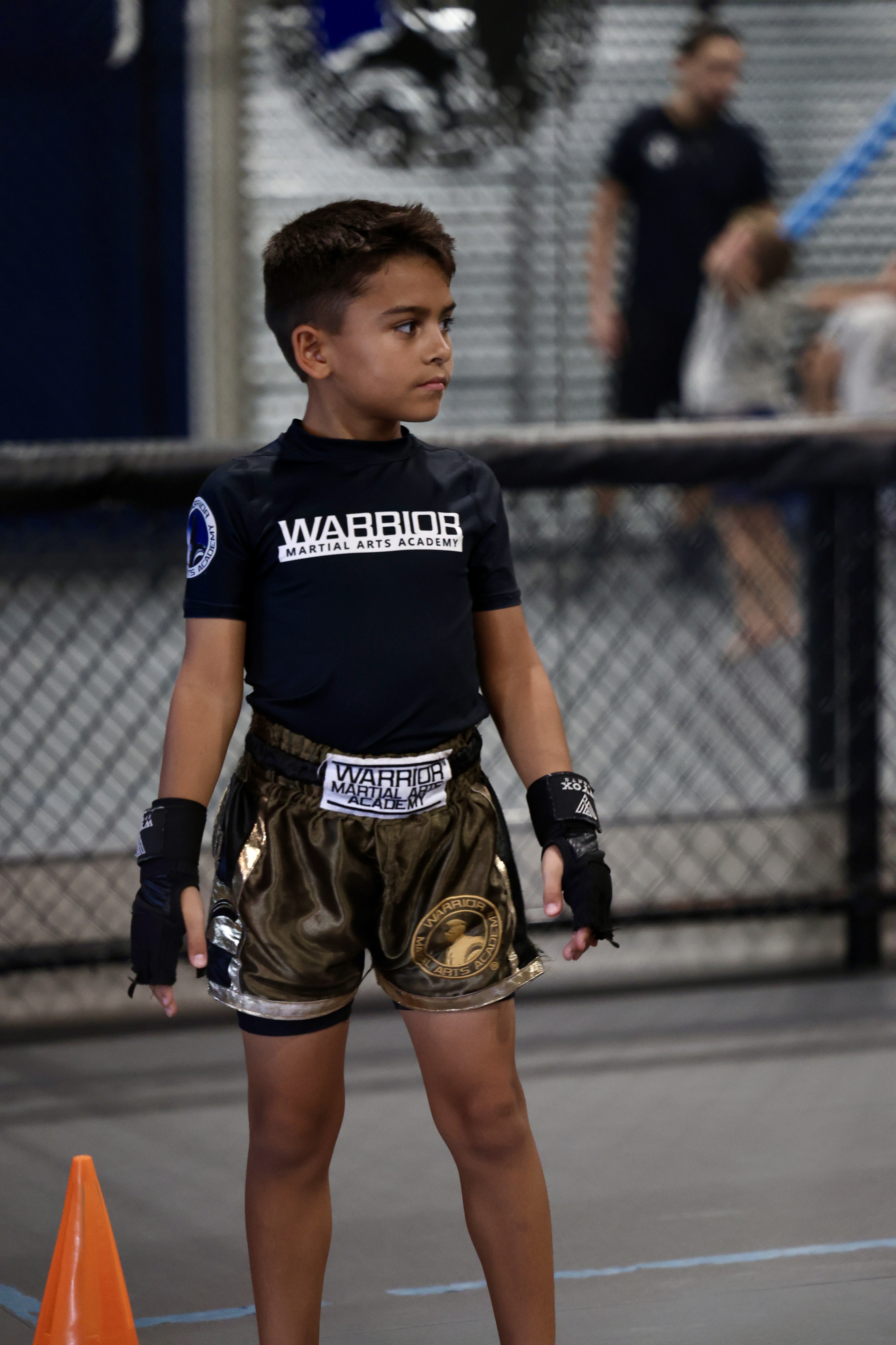 Young martial artist standing ready